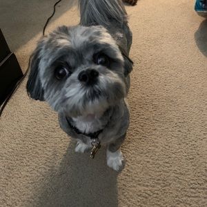 Meet your Posher, Aida